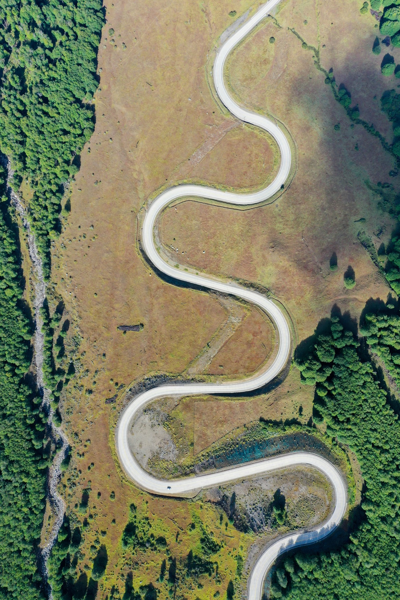 Ruta que recorre el paisaje del sur de Chile